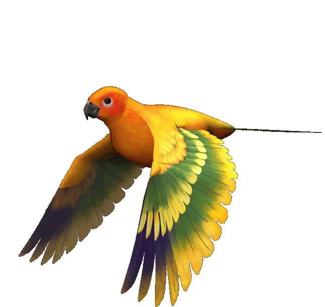 Gif pajaros animados - Imagui
