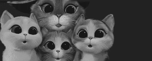 gif tiernos tumblr - Imageneitor