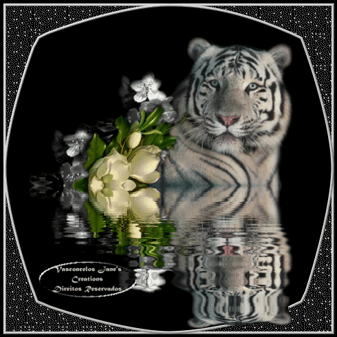 GIF De Tigres