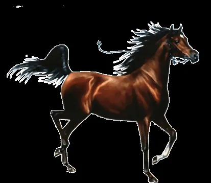 Gifs animados de caballos - Imagui