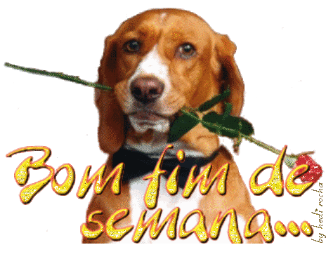 Gifs animados de cachorros - Imagui