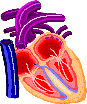 Gifs animados de corazon con movimiento - Imagui Gifs animados de corazon con movimiento - Imagui