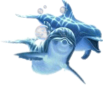 Gifs animados de delfines. Gifs animados. Imágenes animadas. Gifs animados de delfines. Gifs animados. Imágenes animadas.