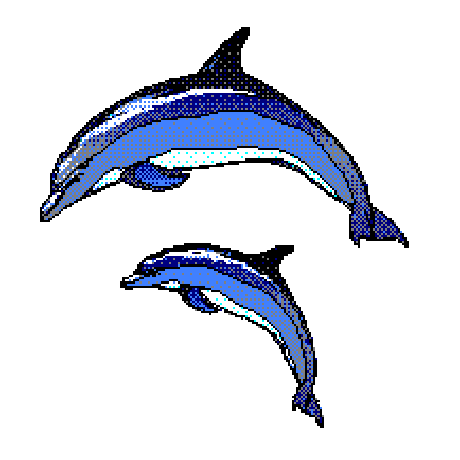 DELFIN ANIMADO GIF - Imagui