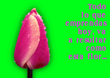 gifs animados con frases para dar ánimo | Blog de imágenes gifs animados con frases para dar ánimo | Blog de imágenes
