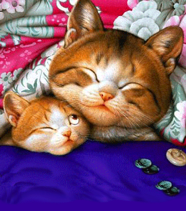 PINK: IL GIORNALE DEI GATTI...