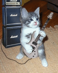 Gifs animados graciosos: los mejores gifs animados gratis aquí en ...