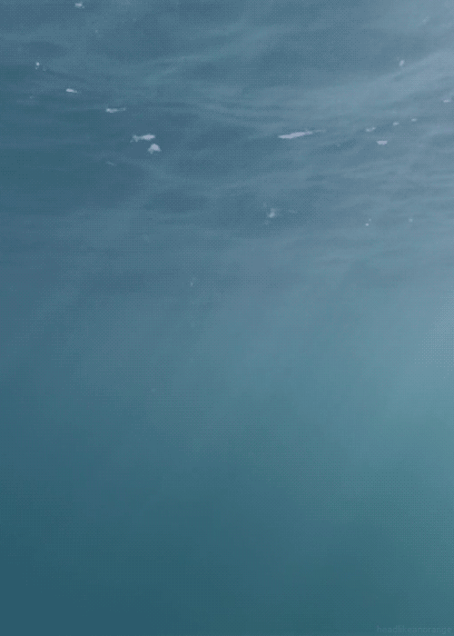 Gifs animados del fondo del mar - Imagui