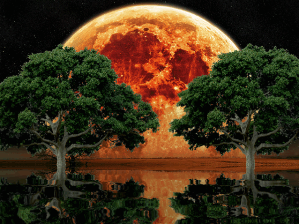 Gifs animados lagos y rios - Imagui