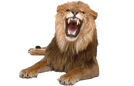 Gifs animados de leones, dibujos de leones | Blog de imágenes Gifs animados de leones, dibujos de leones | Blog de imágenes