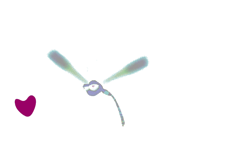 Gifs animados de libelulas - Imagui