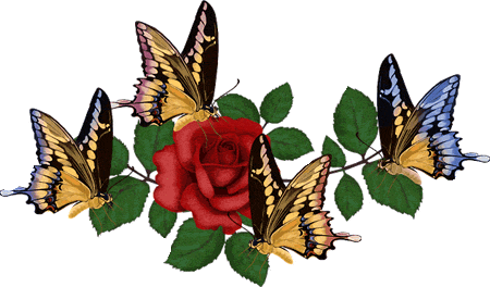 Gifs animados de mariposas en movimiento - Imagui Gifs animados de mariposas en movimiento - Imagui