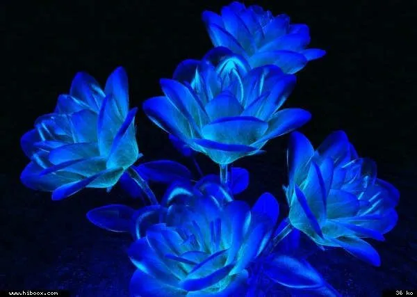 gifs animados con movimiento de diamante azul - Buscar con Google ... gifs animados con movimiento de diamante azul - Buscar con Google ...