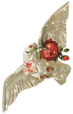 Gifs animados de Palomas, animaciones de Palomas