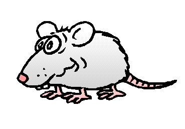 Gifs animados de Ratones, animaciones de Ratones Gifs animados de Ratones, animaciones de Ratones