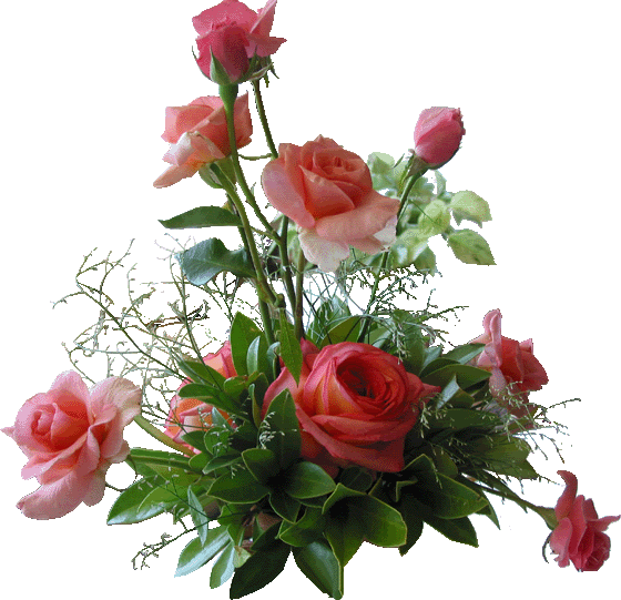 Pin Imagenes Brillantes Flores Flowers Gifs Animados Board ... Pin Imagenes Brillantes Flores Flowers Gifs Animados Board ...