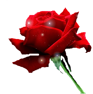 Gifs animados de Rosas y flores, animaciones de Rosas y flores Gifs animados de Rosas y flores, animaciones de Rosas y flores