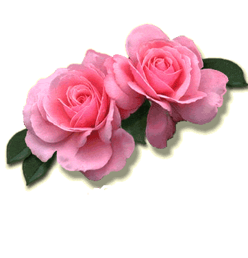 Gifs animados rosas - Imagui