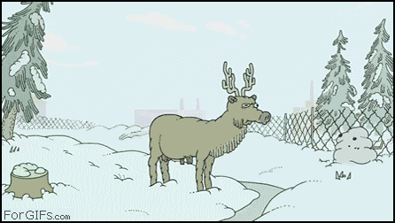 GIFS ANIMADOS PARA UN VIERNES FRÍO. | LA DIMENSIÓN ARGENTINA GIFS ANIMADOS PARA UN VIERNES FRÍO. | LA DIMENSIÓN ARGENTINA