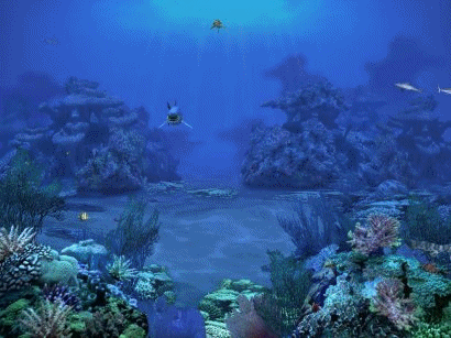 Gifs de animales: Marinos