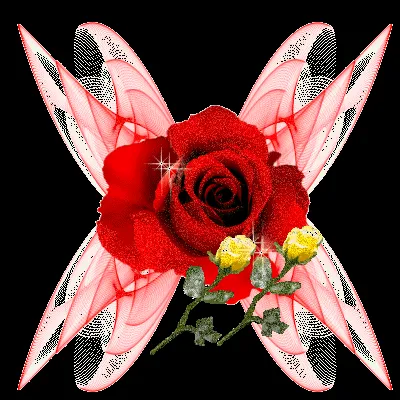 Gifs cutes de Flores | Cute Place