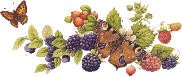Gifs y Fondos PazenlaTormenta: MARIPOSAS