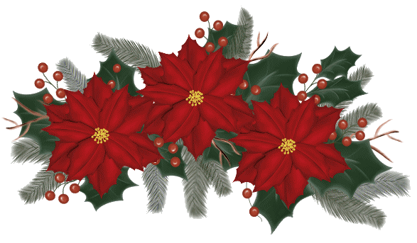 Gifs y Fondos PazenlaTormenta: NAVIDAD - FLORES