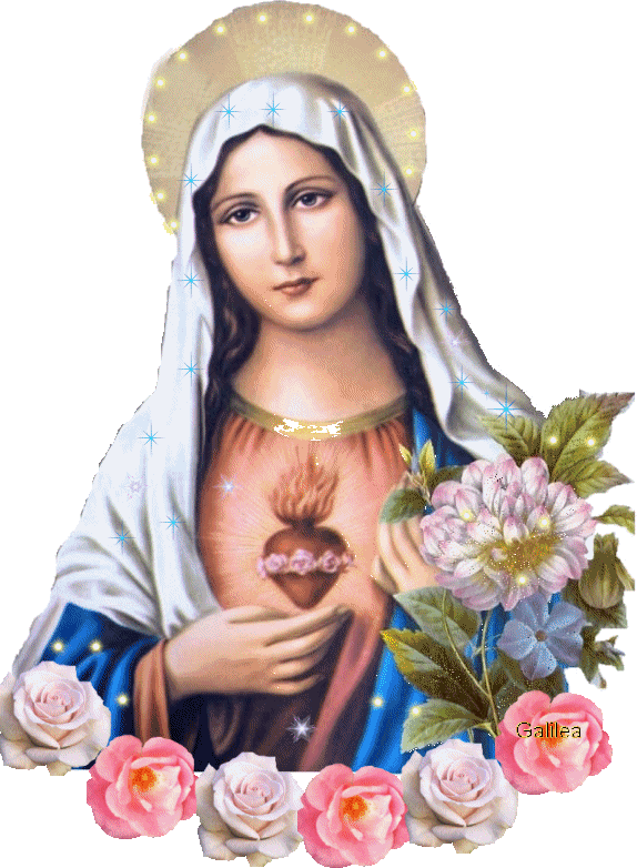 Gifs y Fondos PazenlaTormenta: IMAGENES DEL INMACULADO CORAZÓN DE ...