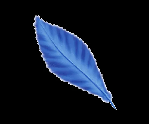 Gifs y Fondos PazenlaTormenta: IMÁGENES DE PLUMAS Y TINTA LÍQUIDA ... Gifs y Fondos PazenlaTormenta: IMÁGENES DE PLUMAS Y TINTA LÍQUIDA ...