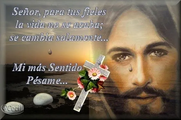 Gifs y Fondos PazenlaTormenta: IMÁGENES DE MI SENTIDO PÉSAME Gifs y Fondos PazenlaTormenta: IMÁGENES DE MI SENTIDO PÉSAME