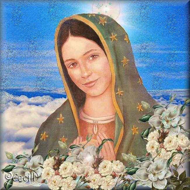 Gifs y Fondos PazenlaTormenta: IMAGENES DE LA VIRGEN DE GUADALUPE Gifs y Fondos PazenlaTormenta: IMAGENES DE LA VIRGEN DE GUADALUPE