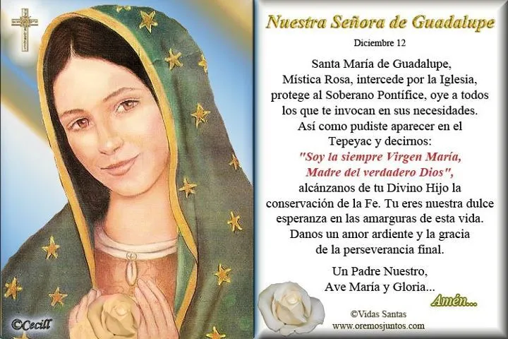 Gifs y Fondos PazenlaTormenta: IMAGENES DE LA VIRGEN DE GUADALUPE Gifs y Fondos PazenlaTormenta: IMAGENES DE LA VIRGEN DE GUADALUPE