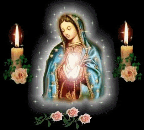 Gifs y Fondos PazenlaTormenta: IMAGENES DE LA VIRGEN DE GUADALUPE Gifs y Fondos PazenlaTormenta: IMAGENES DE LA VIRGEN DE GUADALUPE