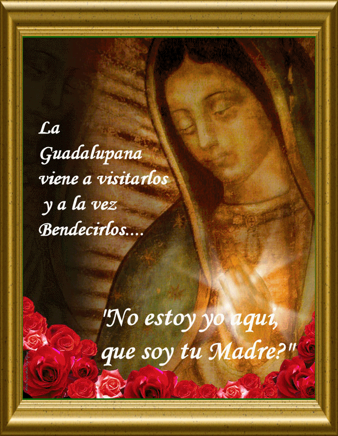 Gifs y Fondos PazenlaTormenta: IMAGENES DE LA VIRGEN DE GUADALUPE Gifs y Fondos PazenlaTormenta: IMAGENES DE LA VIRGEN DE GUADALUPE