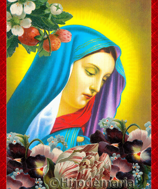 Gifs y Fondos PazenlaTormenta: IMÁGENES DE LA VIRGEN MARÍA