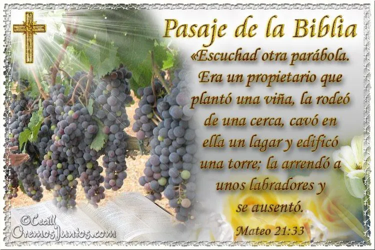 Gifs y Fondos PazenlaTormenta: PASAJES BIBLICOS EN IMAGENES