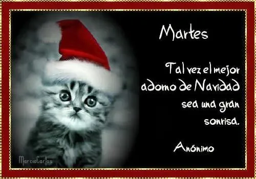 Gifs y Fondos PazenlaTormenta: SEMANARIOS NAVIDEÑOS PARA RESPONDER ...