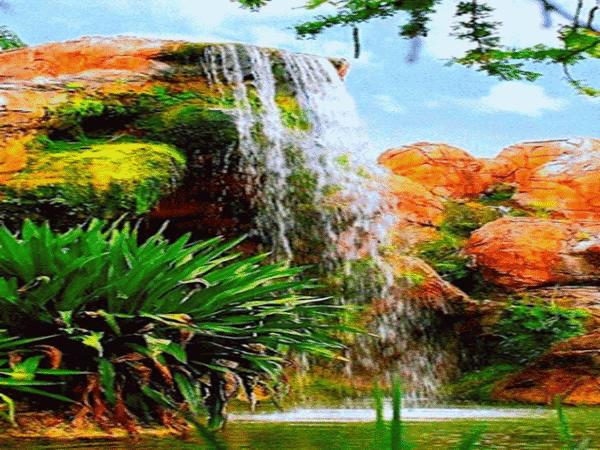 GIFS DE NATURALEZA: Paisajes de cascadas
