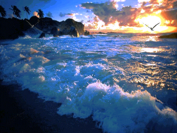 GIFS DE NATURALEZA: Paisajes de playa | minhas fotos | Pinterest ...