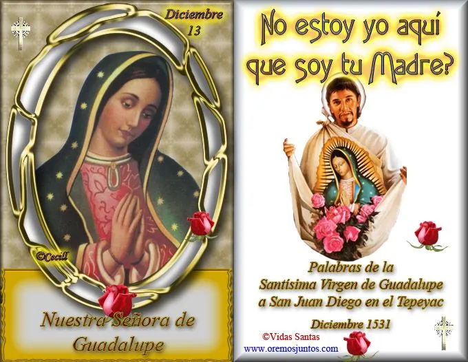 Gifs de oraciones: Oraciones a la Virgen de Guadalupe Gifs de oraciones: Oraciones a la Virgen de Guadalupe