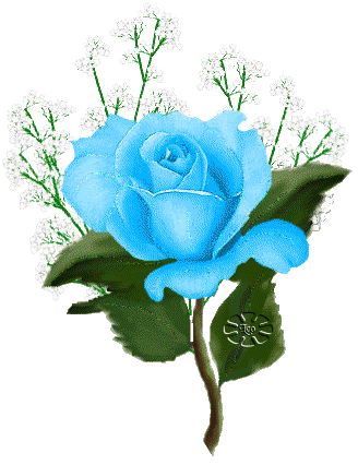 gifs de rosas con brillos para San Valentín | 14 de febrero gifs de rosas con brillos para San Valentín | 14 de febrero