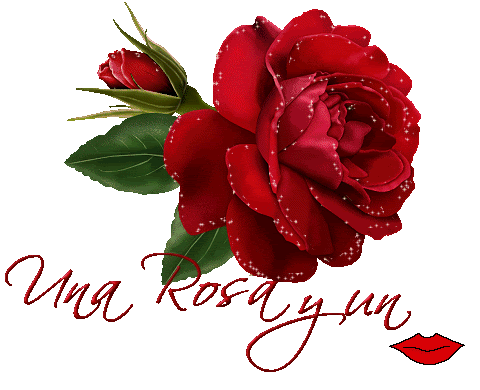 gifs de rosas con brillos para San Valentín frases amor | imagenes ... gifs de rosas con brillos para San Valentín frases amor | imagenes ...