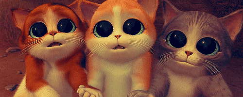 gif tiernos | Tumblr