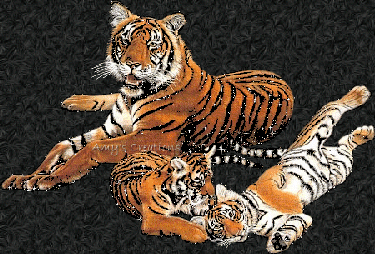 gifs tigre