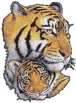 gifs tigre