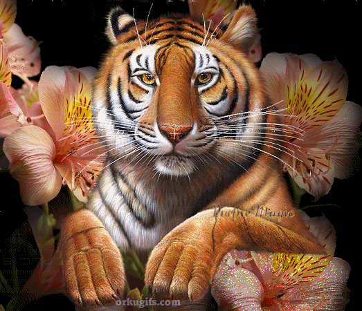 Tigre de bengala animado - Imagui