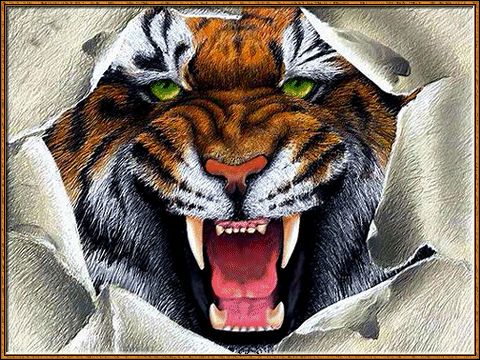 Gifs de Tigres ~ Oficina do Gif