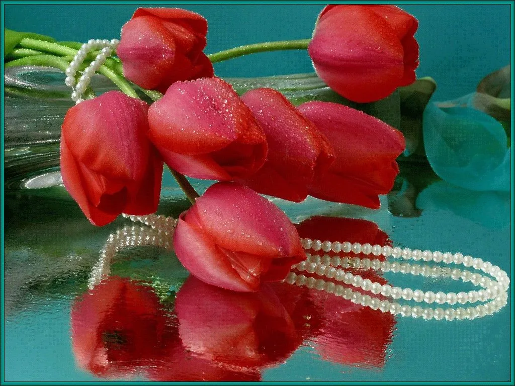GIFs Tulipas. 100 imagens e cartões postais animados GIFs Tulipas. 100 imagens e cartões postais animados