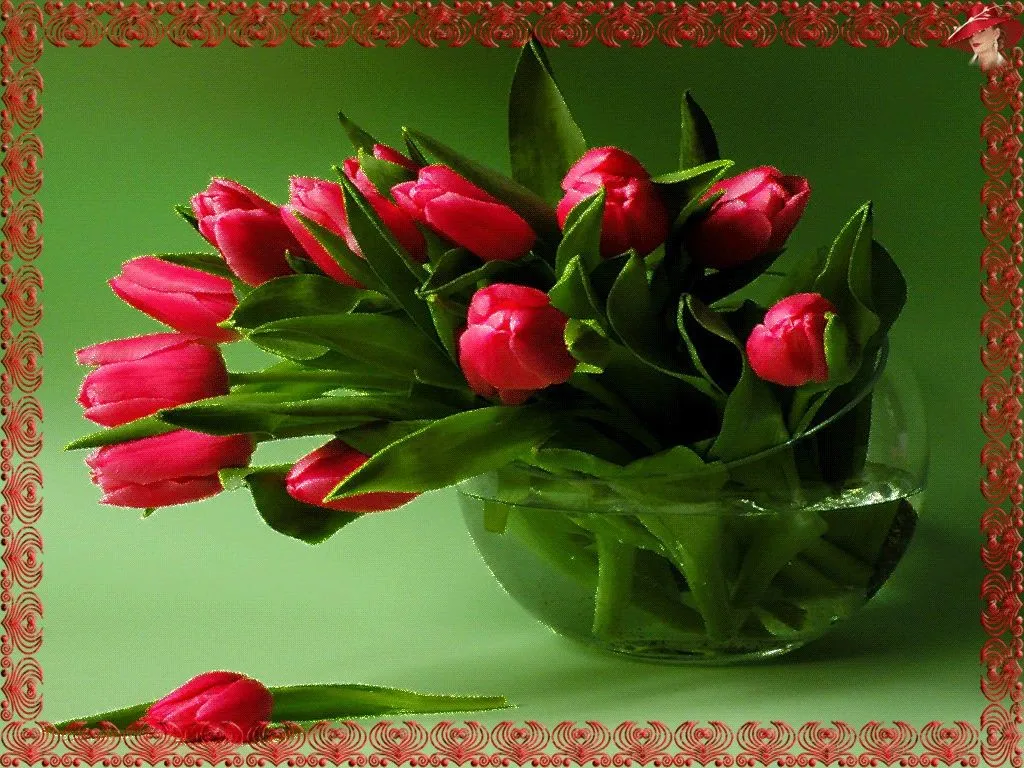 GIFs Tulipas. 100 imagens e cartões postais animados GIFs Tulipas. 100 imagens e cartões postais animados