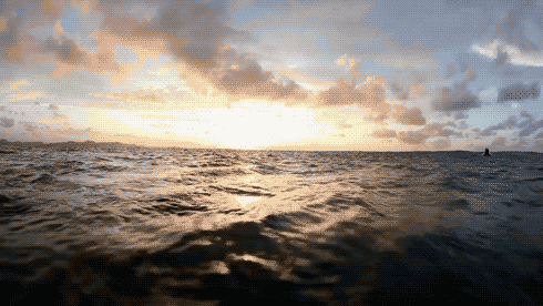 Gifs Variadas]Si te gusto alguna +2 - Taringa!
